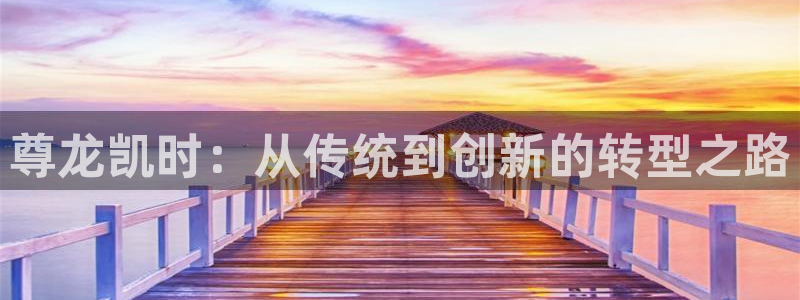 尊龙凯时：从传统到创新的转型之路