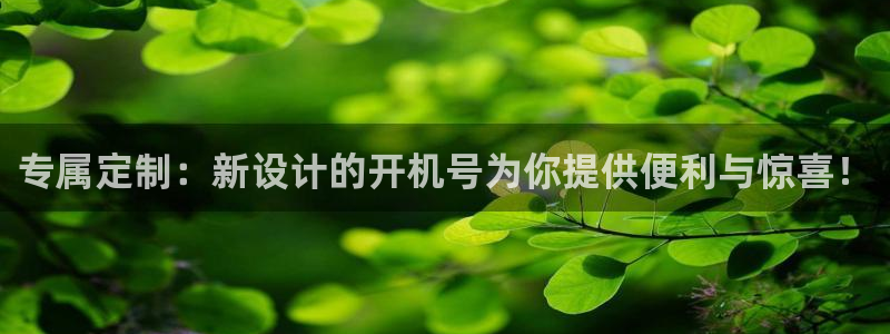 2元彩票官网：专属定制：新设计的开机号为你提供便利与惊喜！