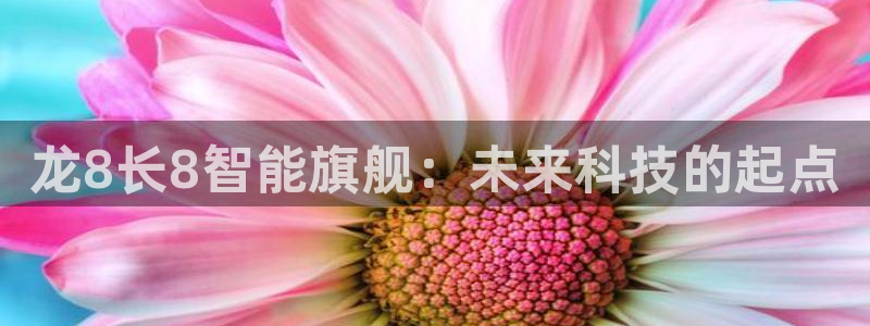 2元网河南二十二选五：龙8长8智能旗舰：未来科技的起点