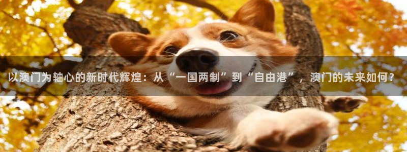 3d和值走势图2元网：以澳门为轴心的新时代辉煌：从“一国两制”到“自由港”，澳门的未来如何？