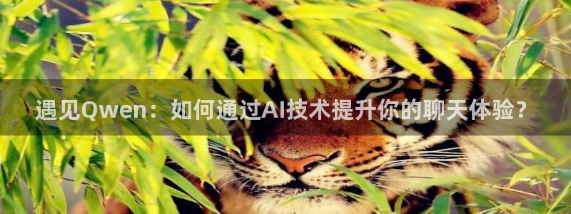 2元网河南二十二选五：遇见Qwen：如何通过AI技术提升你的聊天体验？