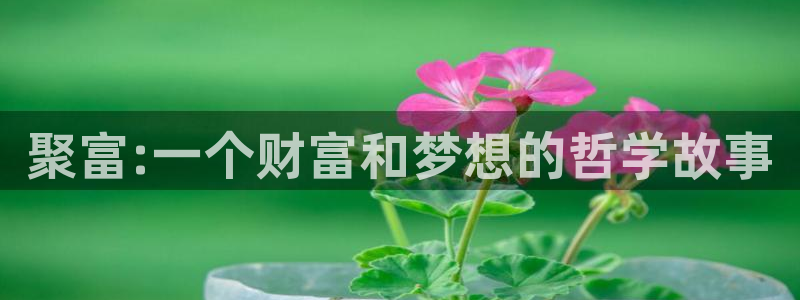3d和值走势图2元网：聚富:一个财富和梦想的哲学故事