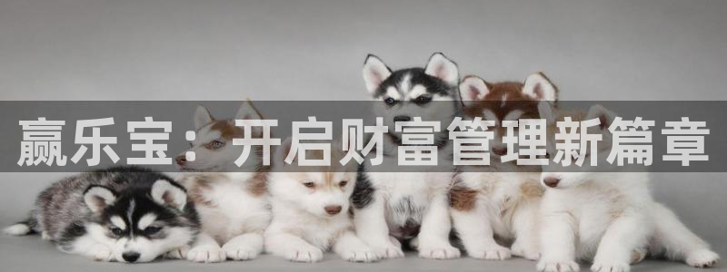 3d和值走势图2元网：赢乐宝：开启财富管理新篇章